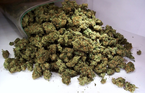 Мигрени марихуана что такое даркнет и тор hydraruzxpnew4af